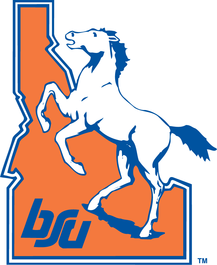 Boise State Broncos 1983-2002 Alternate Logo diy iron on heat transfer